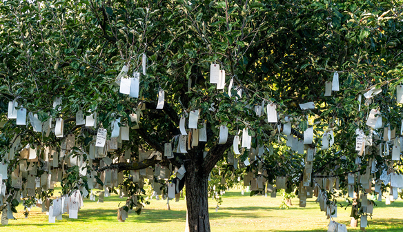 Wish Tree