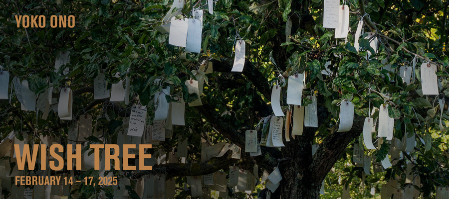 Wish Tree